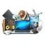 Laptop & Desktop